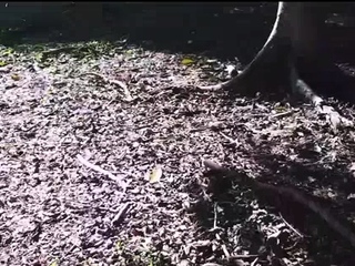 RISKY OUTDOOR FUCK WITH CUTE GIRL