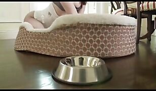 Stoya – Bad GirlsK1cMuKV